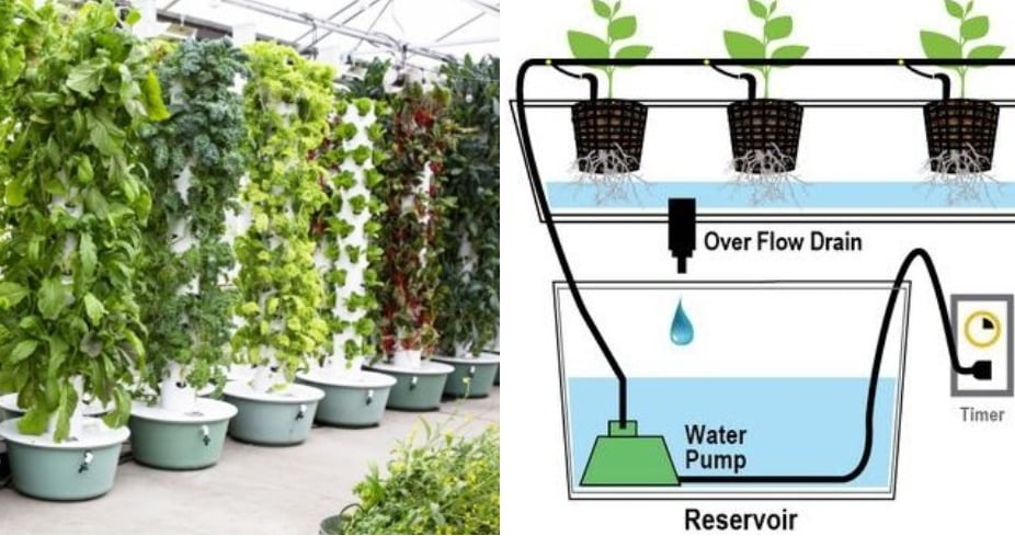 . Aeroponics Tower Garden uses less Space