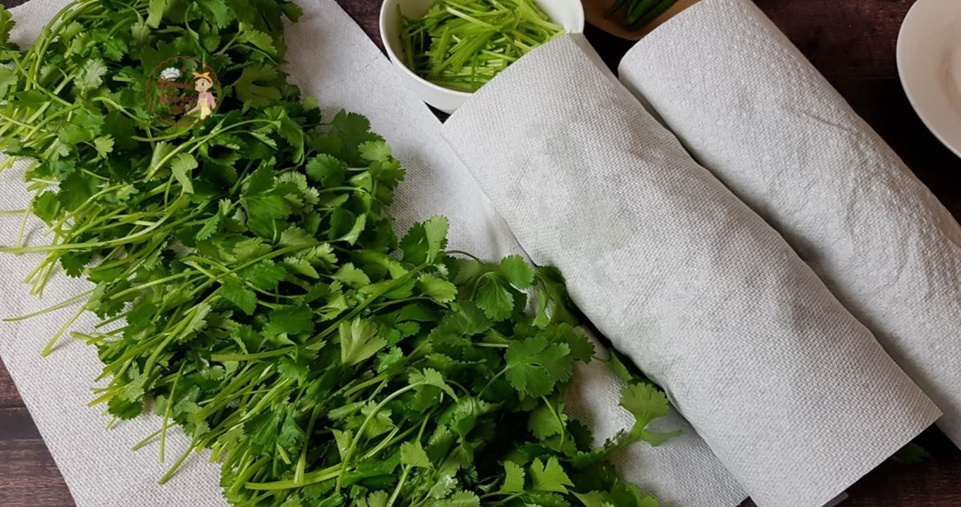 Storing and Using Harvested Cilantro