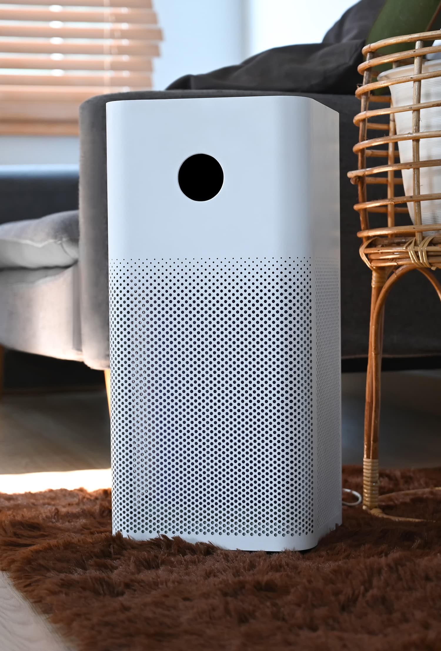 Close up on air purifier in living room